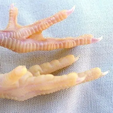 thumbnail for publication: How to Evaluate Quality of Newly Hatched Chicks